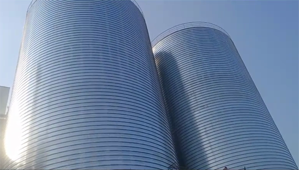 莎车2座混凝土高架卷板仓